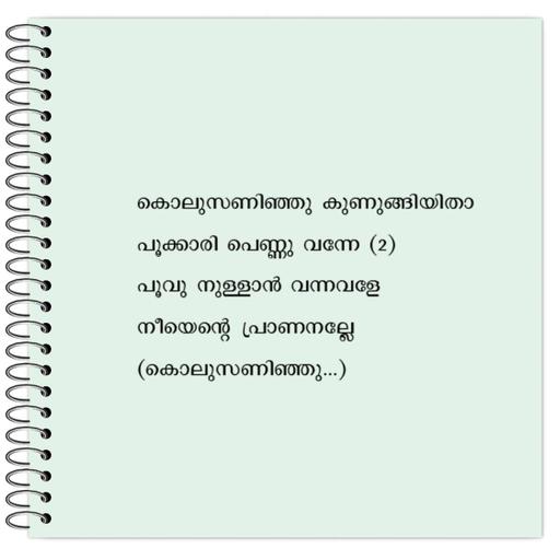 Picture of the product