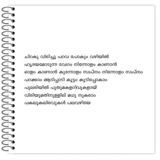 Picture of the product