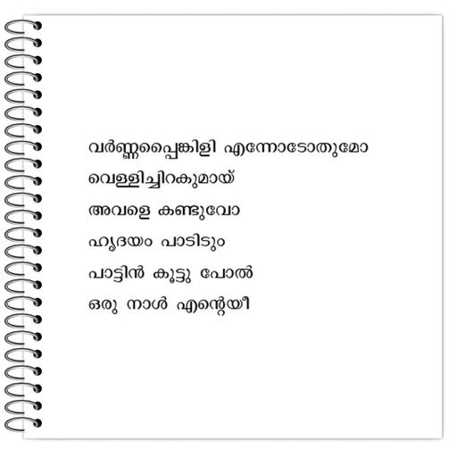 Picture of the product