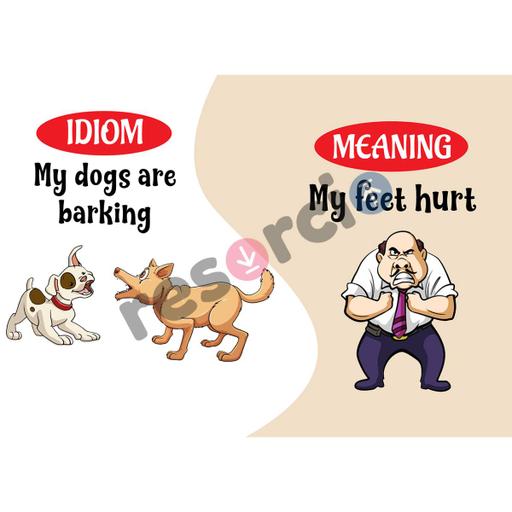 Picture of the product