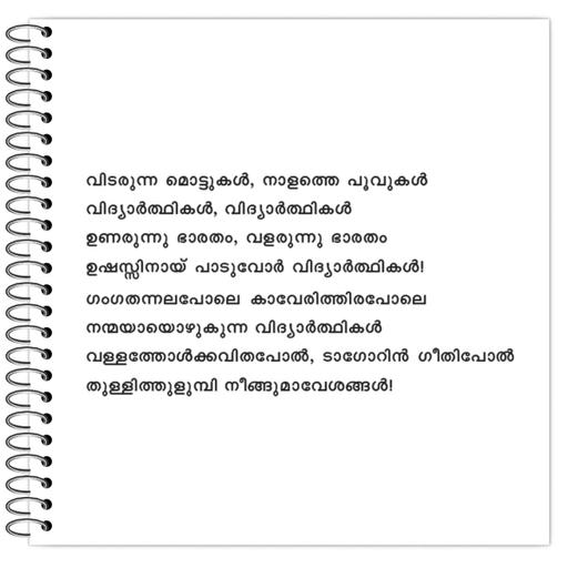 Picture of the product