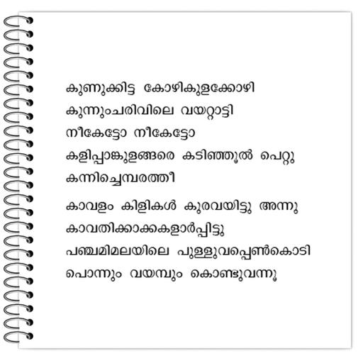 Picture of the product