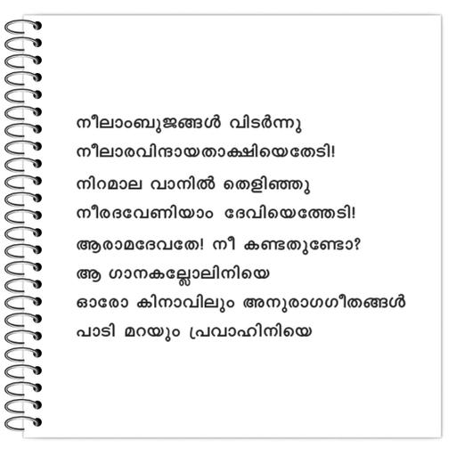 Picture of the product