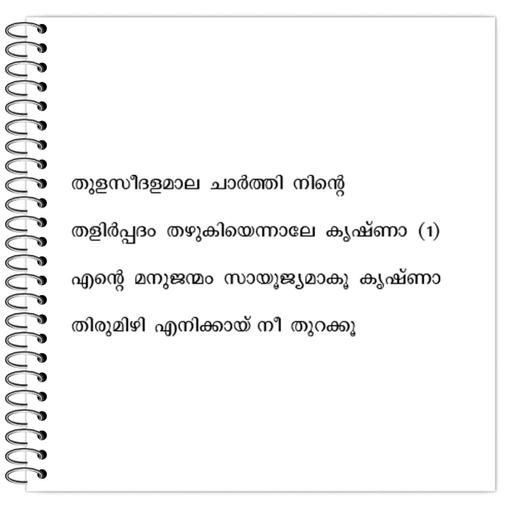 Picture of the product