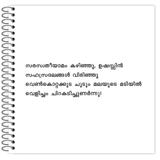 Picture of the product