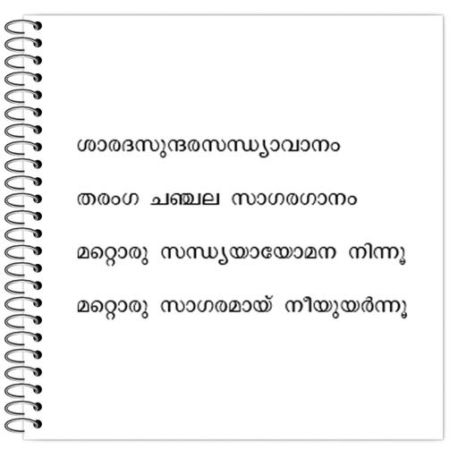 Picture of the product