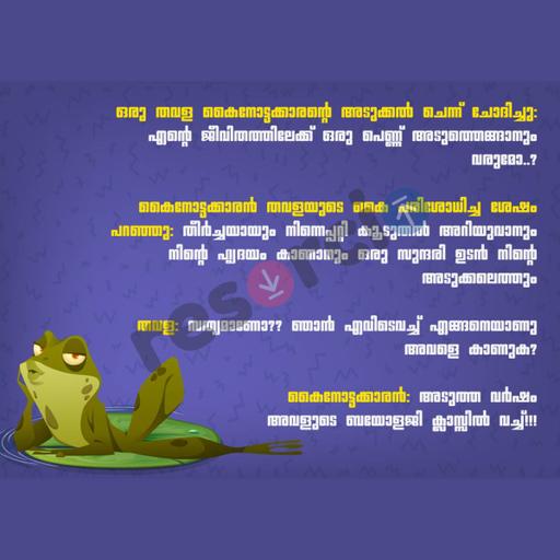 Picture of the product