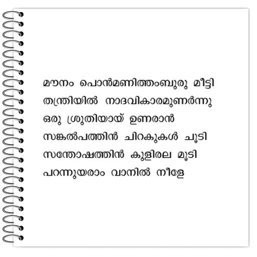 Picture of the product