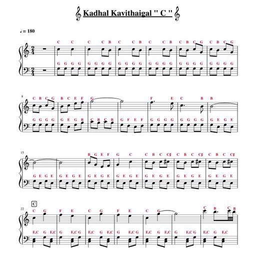 Picture of the product