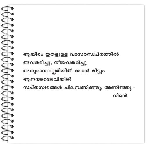 Picture of the product