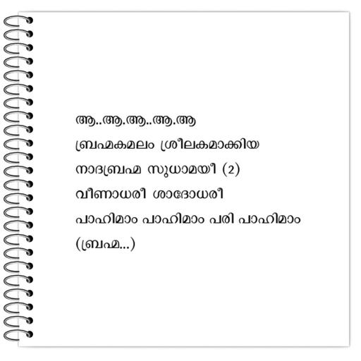 Picture of the product