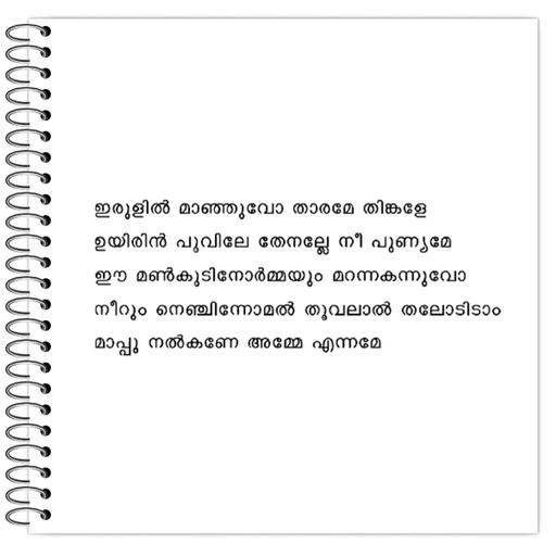 Picture of the product