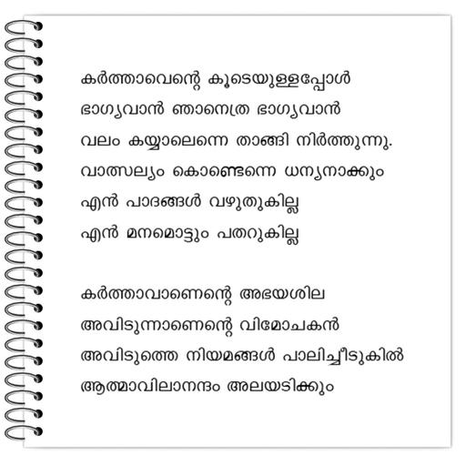 Picture of the product