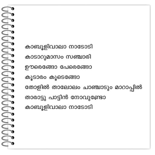 Picture of the product