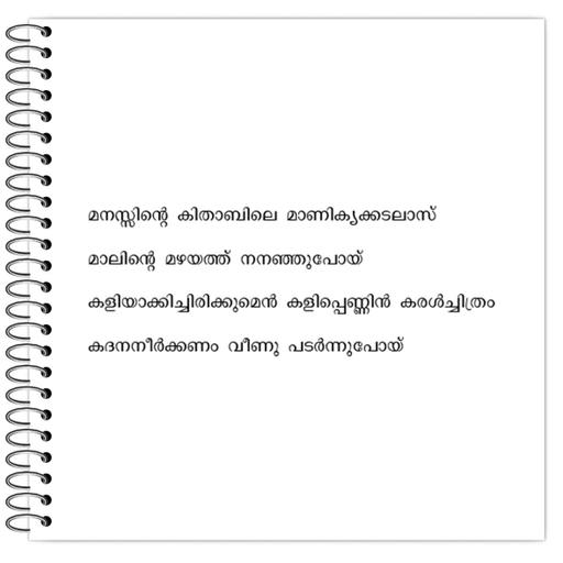 Picture of the product