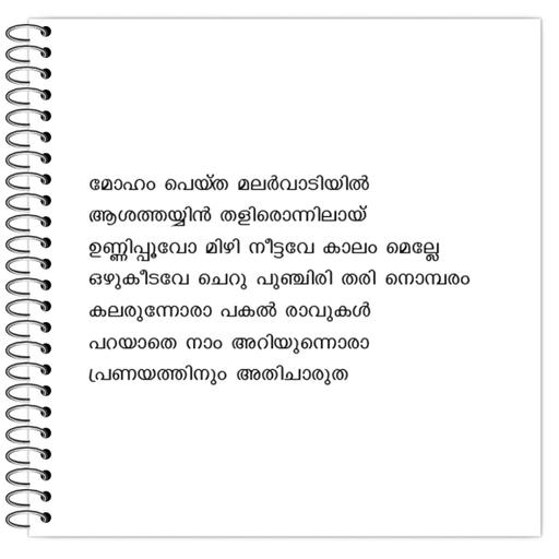 Picture of the product