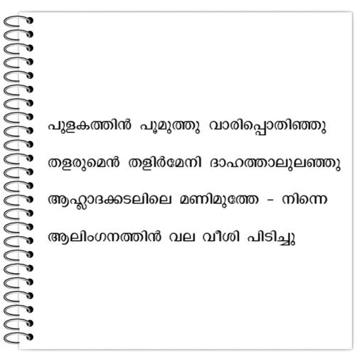 Picture of the product