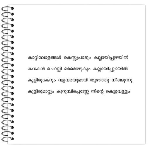 Picture of the product