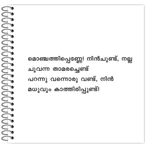 Picture of the product