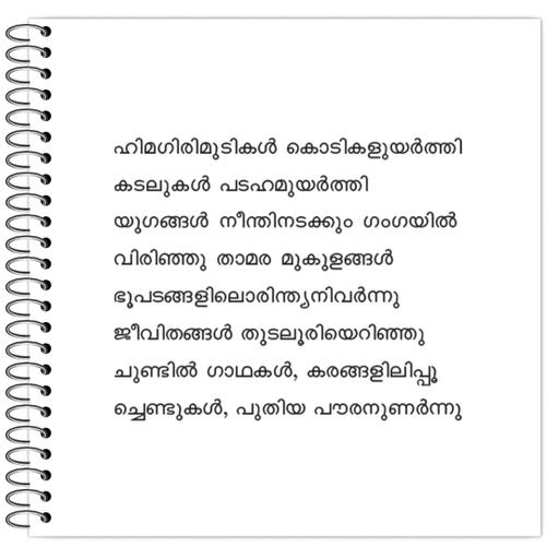 Picture of the product