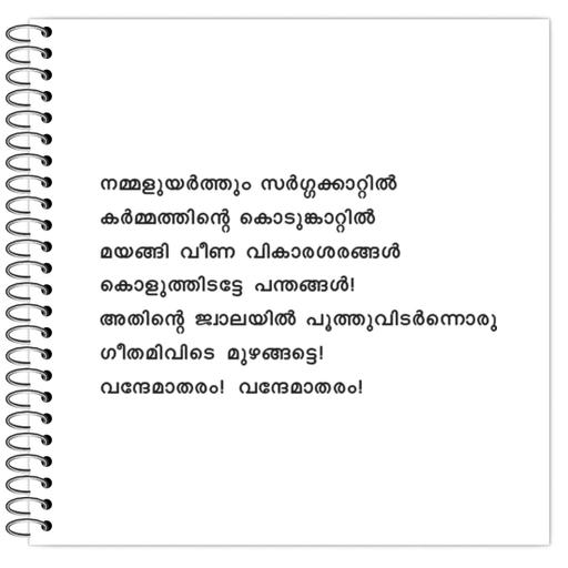 Picture of the product