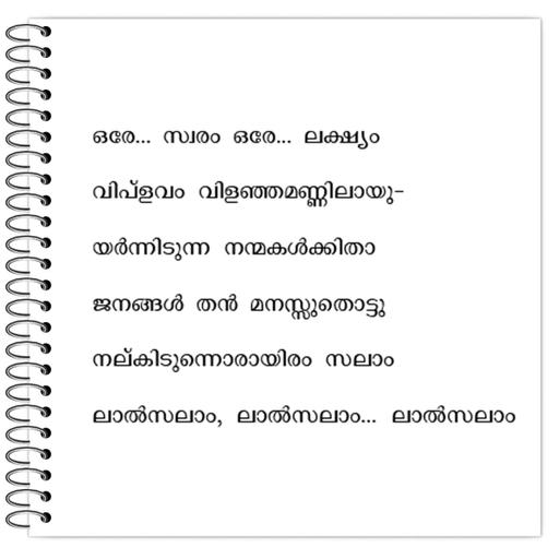 Picture of the product