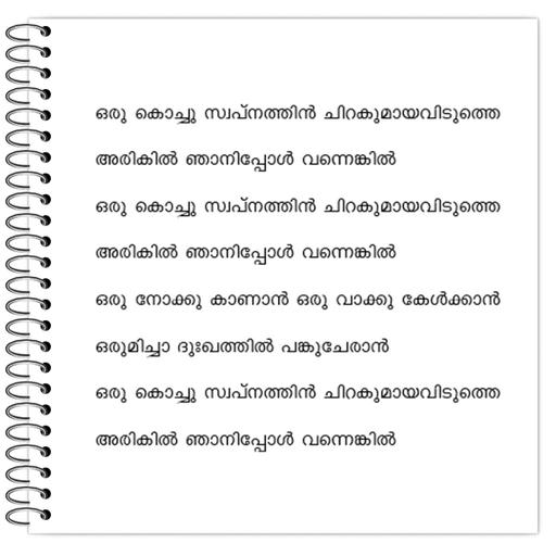 Picture of the product