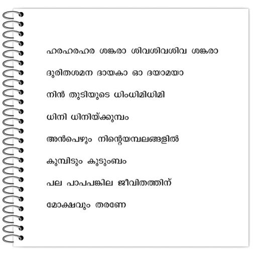 Picture of the product