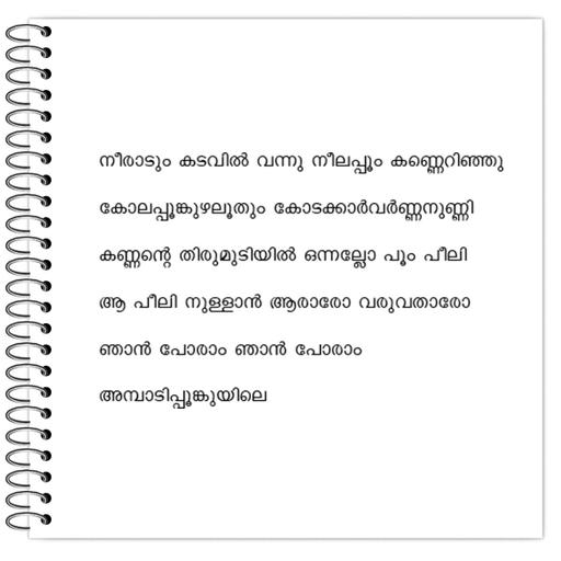 Picture of the product