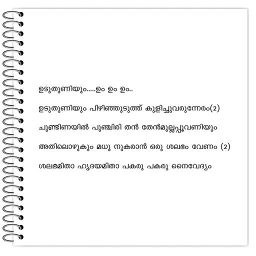 Picture of the product