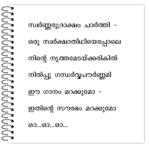 Picture of the product