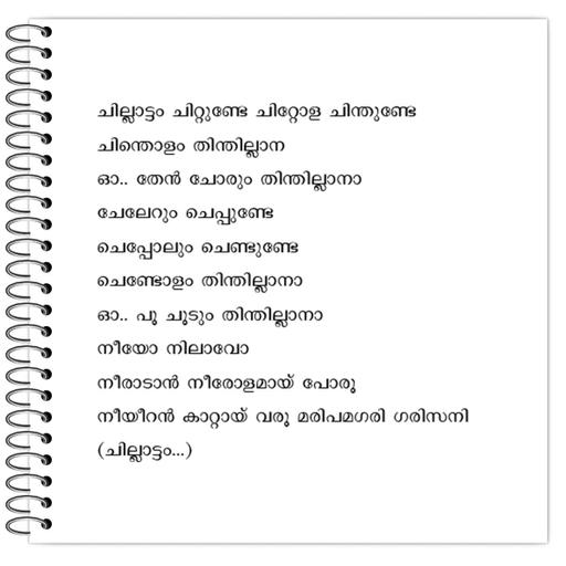 Picture of the product