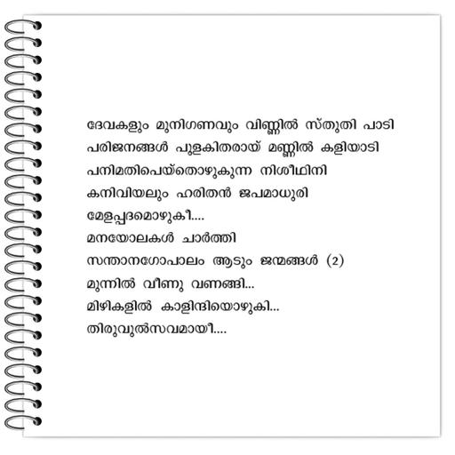 Picture of the product