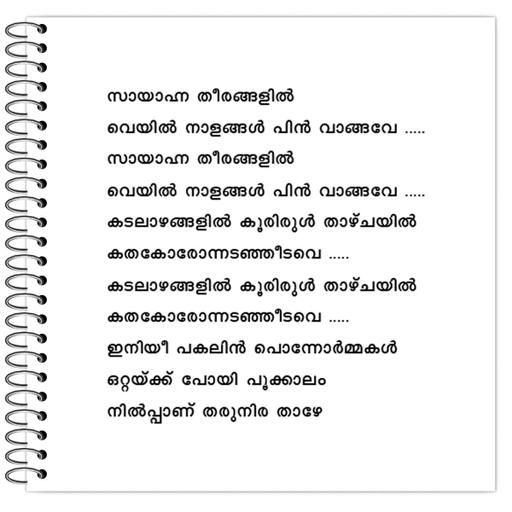 Picture of the product