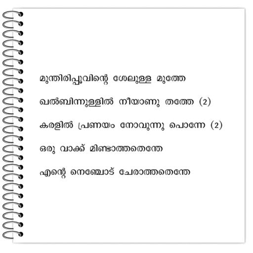 Picture of the product