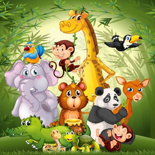 Picture of the product